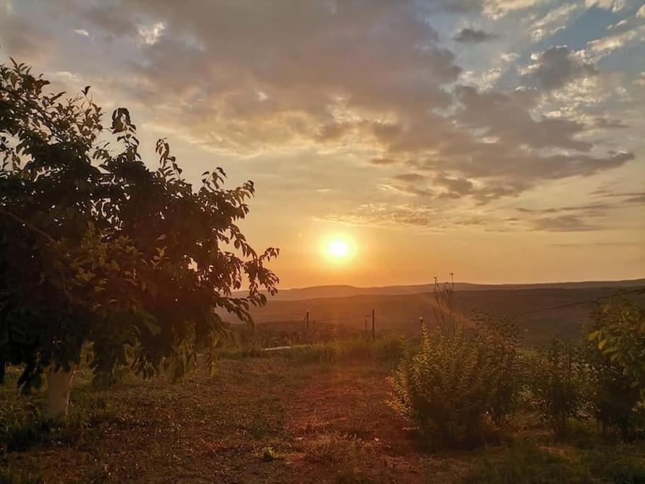 Dimitra'S Sunny Villa Mirsinochori Dış mekan fotoğraf